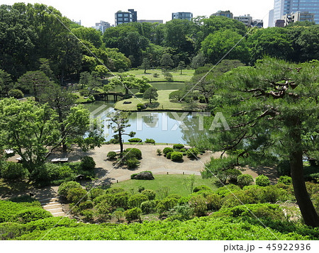 新緑が美しい春の六義園(藤代峠からの眺め) 新緑が美しい春の六義園(藤代峠からの眺め) 45922936
