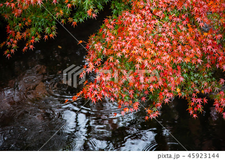 アジア人 アジアン アジア風 45923144