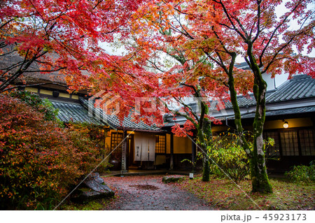 アジア人 アジアン アジア風 45923173