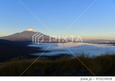 明神山から朝日当たる富士山と山中湖にかかる雲海に葦原 明神山から朝日当たる富士山と山中湖にかかる雲海に葦原 45924608