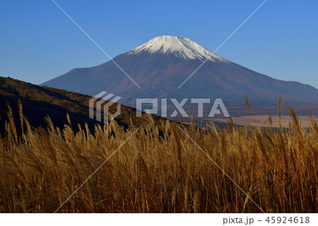 明神山から葦原と富士山 明神山から葦原と富士山 45924618