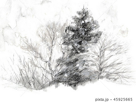 雪景色 モノトーンのイラスト素材 [45925665] - PIXTA