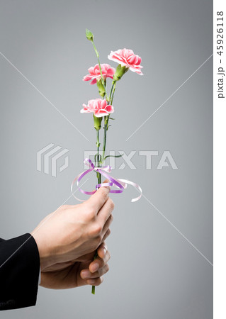 カーネーション 花 手 45926118