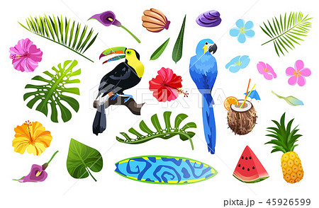 tropical objects set tropical objects set 45926599