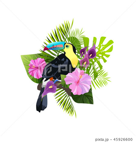tropical bird composition 45926600
