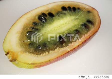 うんべ むべ こっこ アケビ科 うんべ むべ こっこ アケビ科 45927280