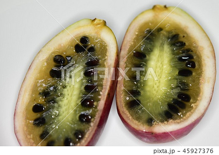 うんべ むべ こっこ アケビ科 うんべ むべ こっこ アケビ科 45927376