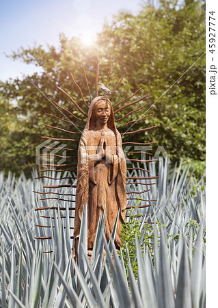 The statue of Blessed Virgin Mary in the field of  45927774