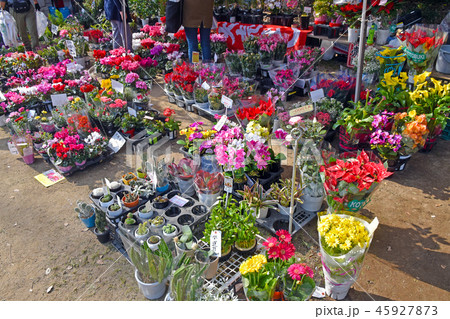 花の露店 45927873