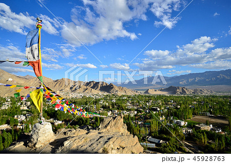 シャンティ・ストゥーパから望むレーの街並 45928763