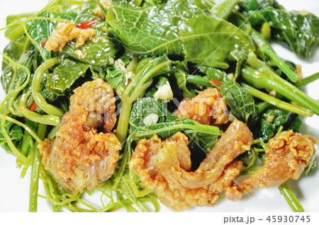 fried Chayote sprout with crispy chicken on plate 45930745