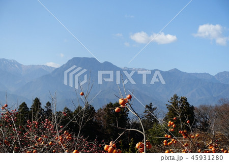 柿畑と有明山:11月　　北安曇郡池田町 45931280