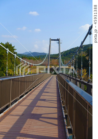 野岳大橋(長崎県：野岳湖：秋の行楽シーズン) 45931388