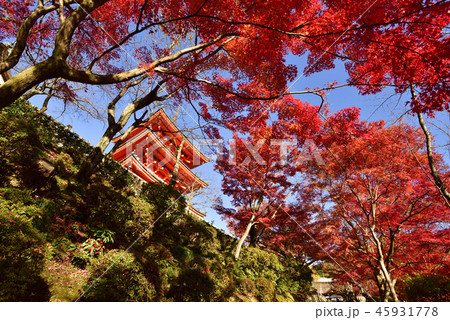 清水寺　三重塔 45931778