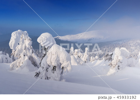 Fantastic winter landscape 45933192