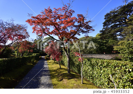 桂離宮 紅葉の写真素材