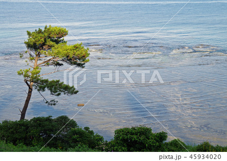 油井の前の洲 45934020