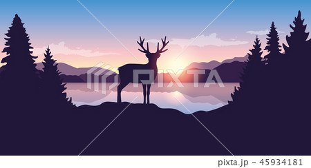 reindeer by the lake at sunrise wildlife nature landscape 45934181