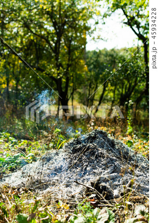 Burned bonfire in the garden 45934228