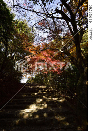 嵯峨野嵐山 嵯峨野嵐山 45934760