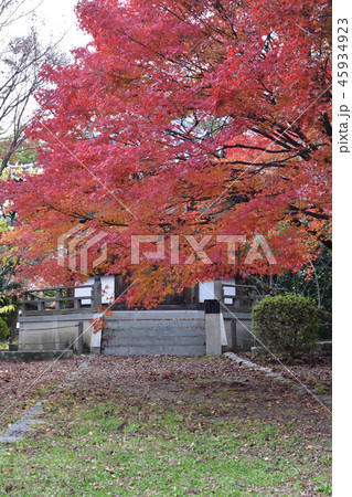清涼寺（嵯峨釈迦堂）聖徳太子殿 45934923