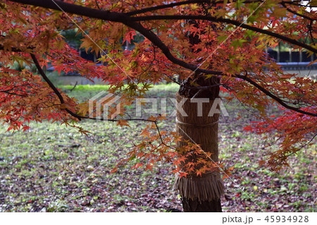 清涼寺(嵯峨釈迦堂)聖徳太子殿 清涼寺(嵯峨釈迦堂)聖徳太子殿 45934928
