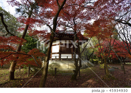 清涼寺（嵯峨釈迦堂）聖徳太子殿 45934930