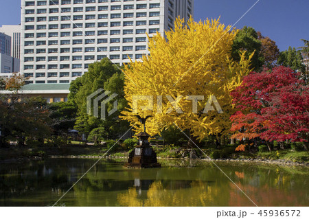 紅葉の季節 日比谷公園 45936572