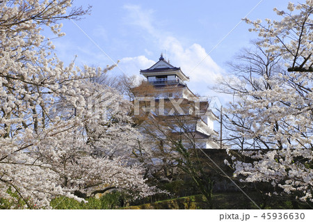 鶴ヶ城 鶴ヶ城 45936630