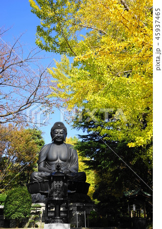 11月　板橋30乗蓮寺東京大仏(赤塚大仏)とｲﾁｮｳ黄葉 45937465