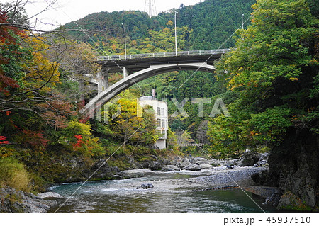 11月　青梅21御岳渓谷 45937510