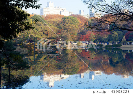 六義園の紅葉と青空　中の島 45938223
