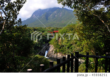 屋久島トローキの滝 屋久島トローキの滝 45938251