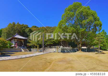 【転法輪寺】 (高解像度版) 兵庫県神戸市垂水区名谷町 【転法輪寺】 (高解像度版) 兵庫県神戸市垂水区名谷町 45938310