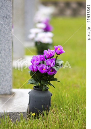 太極旗 芝生 フル 45938361