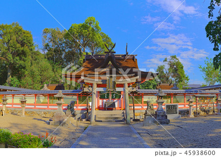 【錦織神社】 (高解像度版) 大阪府富田林市宮甲田町 【錦織神社】 (高解像度版) 大阪府富田林市宮甲田町 45938600