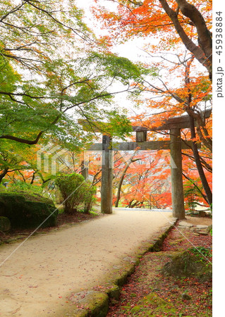 九州　人気　おすすめ　観光地　福岡県　太宰府市　竈門神社　かまど神社　紅葉 45938884