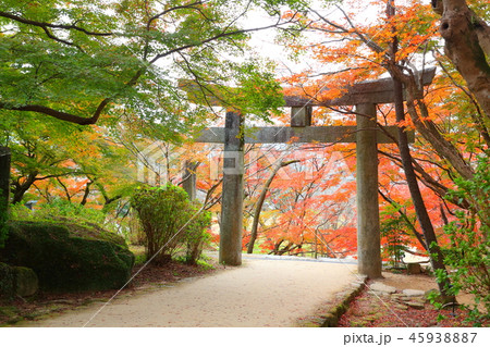 九州 人気 おすすめ 観光地 福岡県 太宰府市 竈門神社 かまど神社 紅葉 九州 人気 おすすめ 観光地 福岡県 太宰府市 竈門神社 かまど神社 紅葉 45938887