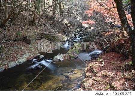 小太郎ヶ淵 45939074