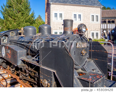 【静岡県伊豆市】テーマパークの風景【修善寺虹の郷・ロムニー鉄道SL】 45939420