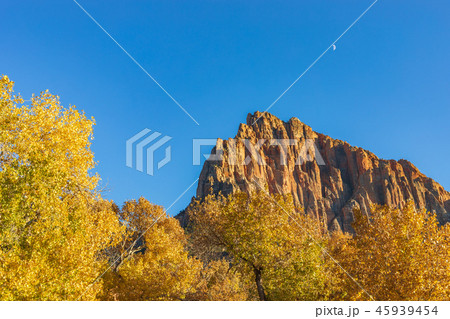 Scenic Zion National Park in Autumn 45939454