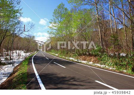 春の道々暑寒別公園線 45939842