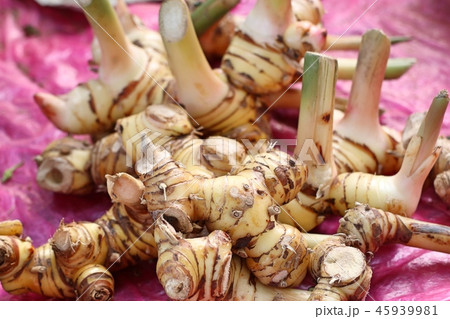 galangal at the market galangal at the market 45939981