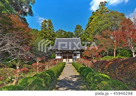 【龍泉寺 本堂】 (高解像度版) 大阪府富田林市龍泉 45940298