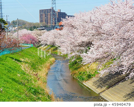 桜～境川 45940479