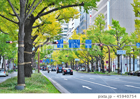 【大阪 御堂筋のイチョウ並木】 大阪府大阪市 【大阪 御堂筋のイチョウ並木】 大阪府大阪市 45940754