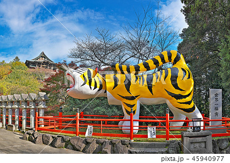 【信貴山 朝護孫子寺の虎】 (高解像度版) 奈良県生駒郡平群町信貴山2280 【信貴山 朝護孫子寺の虎】 (高解像度版) 奈良県生駒郡平群町信貴山2280 45940977