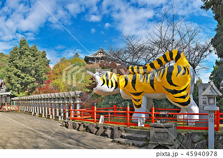 【信貴山 朝護孫子寺の虎】 (高解像度版) 奈良県生駒郡平群町信貴山2280 【信貴山 朝護孫子寺の虎】 (高解像度版) 奈良県生駒郡平群町信貴山2280 45940978