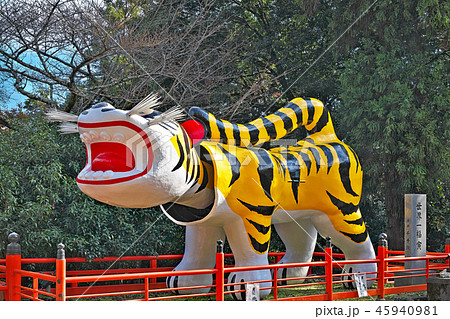 【信貴山 朝護孫子寺の虎】 (高解像度版) 奈良県生駒郡平群町信貴山２２８０ 45940981