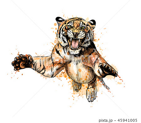 Portrait Of A Tiger Jumping From A Splash Of のイラスト素材